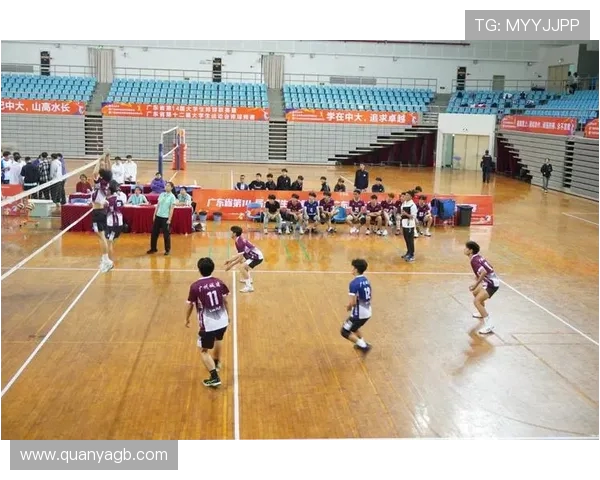 广州排球队荣登排球速度排行榜首位引领全国排球新风潮