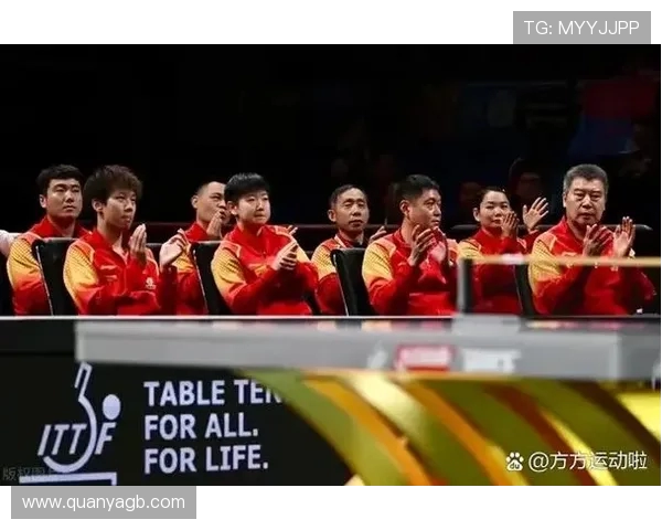 成都排球队在世界杯中的默契配合展现团队精神与竞技水平的完美结合