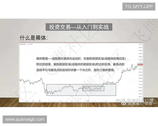 深入分析北京乒乓球队反击打法的战术特点与实战应用 深入分析北京乒乓球队反击打法的战术特点与实战应用