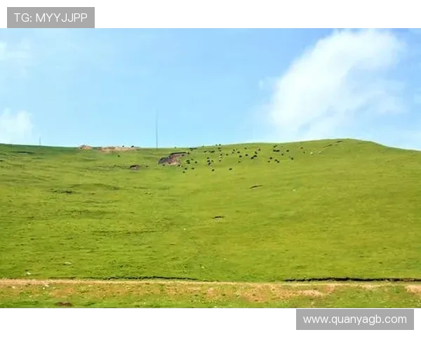 萨林杰的文学世界探索与心灵成长之旅