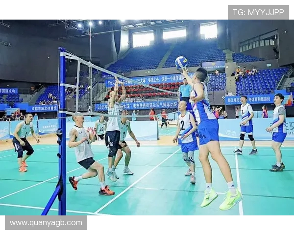 成都排球队比赛经验的创新与变革引发热议