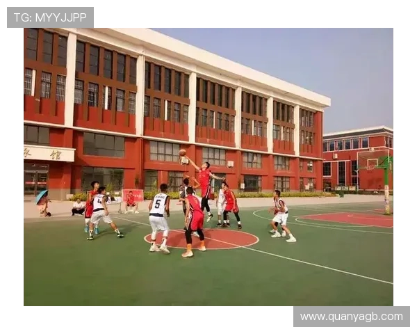 成都篮球队比赛经验分析与联赛表现评估