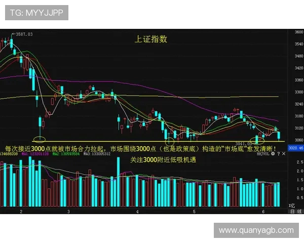 武汉极限运动队与北京极限运动队赛后复盘分析合作默契与战术执行